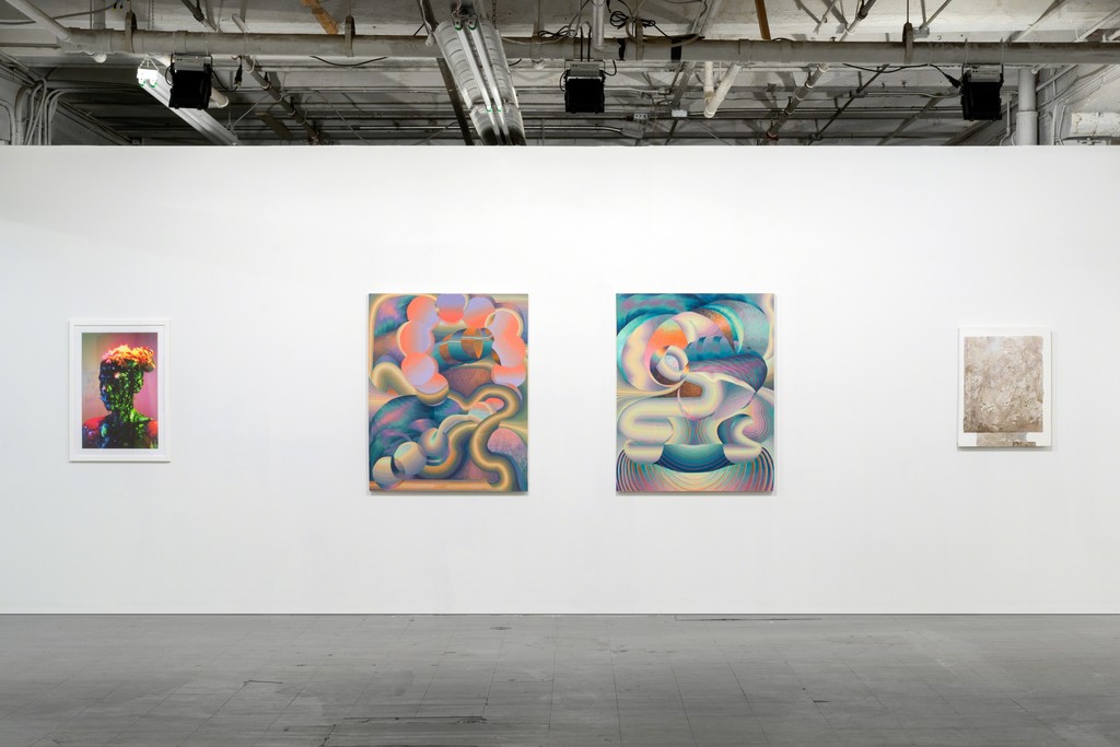 Work by Sofia Szamosi, Theresa Daddezio, and Mark Van Wagner. Work by Sofia Szamosi, Theresa Daddezio, and Mark Van Wagner.
