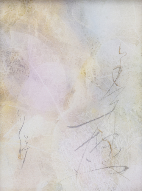 Chaco Terada, ‘Veil for the Memories 1’, 2019, Mixed Media, Archival pigment print on layers of silk organza with sumi ink and mineral pigments, Valley House Gallery & Sculpture Garden