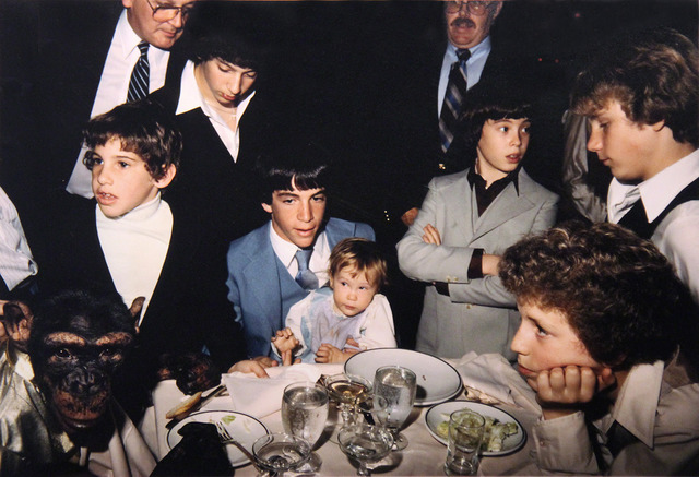 Jeff Mermelstein, ‘Zippy the Chimp at Bar Mitzvah’, 1982, Photography, ClampArt