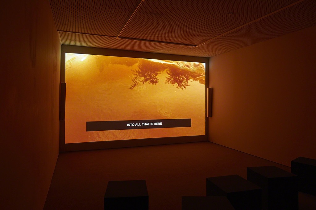 Laure Prouvost | Exhibition view at carlier | gebauer 2015 Laure Prouvost | Exhibition view at carlier | gebauer 2015