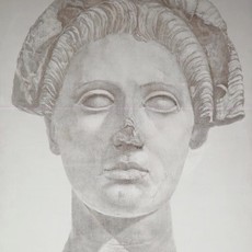 Sherry Camhy