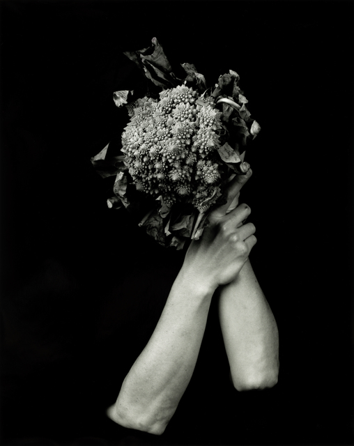 Dale M. Reid, ‘Romanesco Brocoli ’, 2019, Photography, Silver gelatin, JL Phillips Gallery