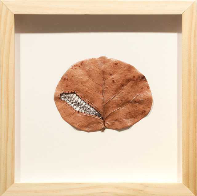 Hillary Waters Fayle 26 Artworks, Bio & Shows on Artsy