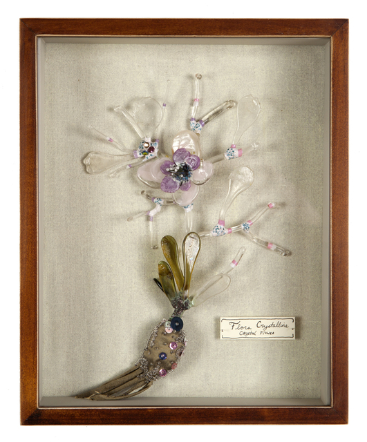 Katerina Lanfranco, ‘Flora Crystallina (Crystal Flower)’, 2013, Nancy Hoffman Gallery