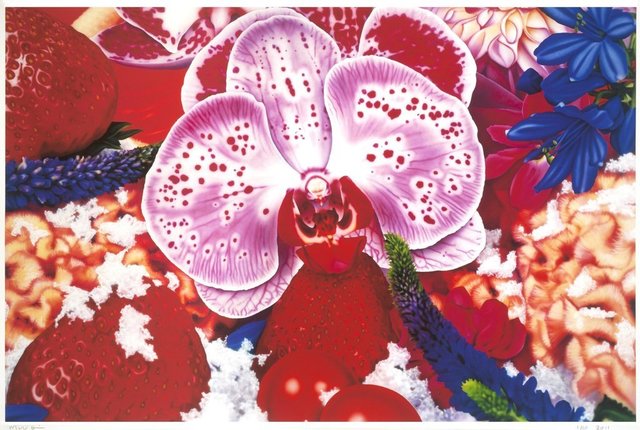 Marc Quinn, ‘Melville Island Badlands’, 2011, Print, Pigment print on 300gsm Somerset Photo paper, Human Reproduction