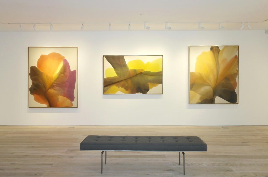 Irene Monat Stern - Installation view Irene Monat Stern - Installation view
