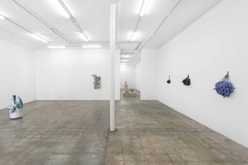 Installation shot, Clippings and Hard Fruit, David Hicks Installation shot, Clippings and Hard Fruit, David Hicks