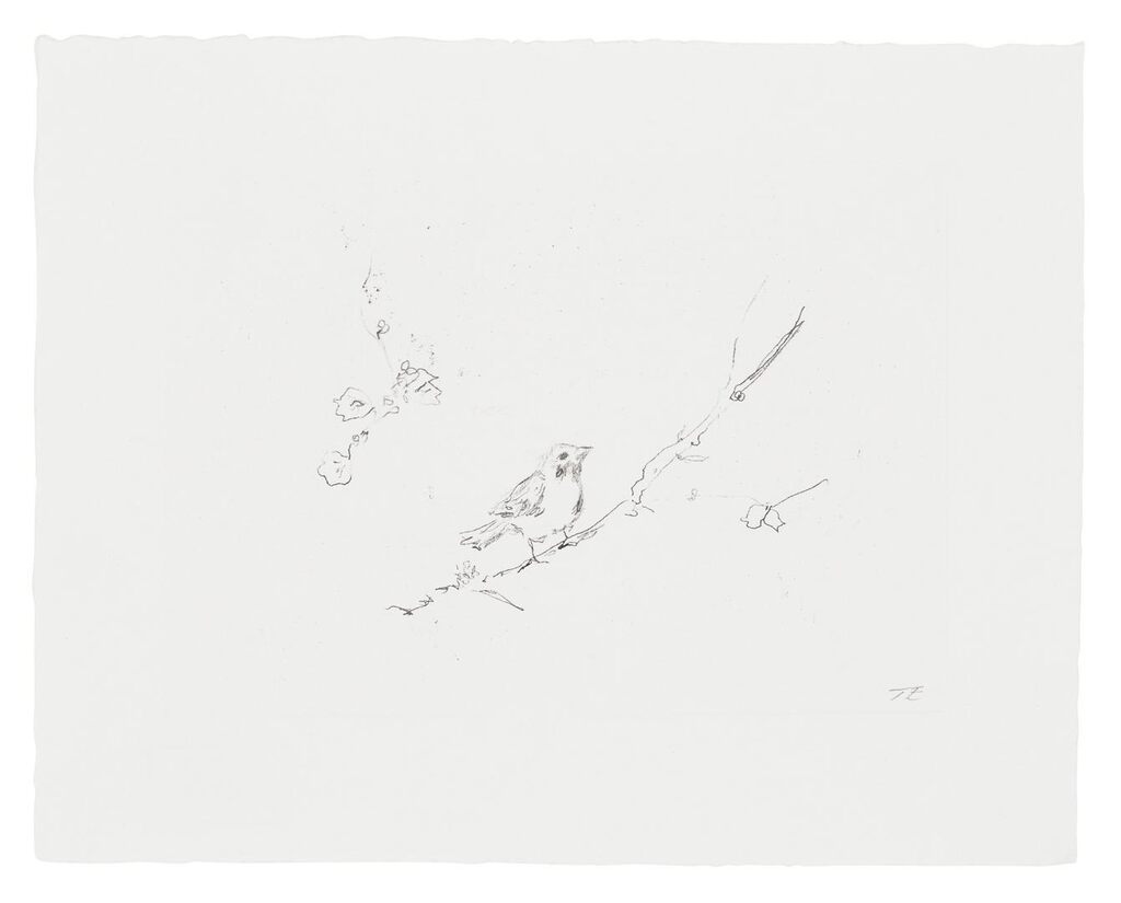 Tracey Emin - Sam and Jay's Birds