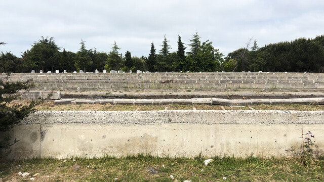 The Pool