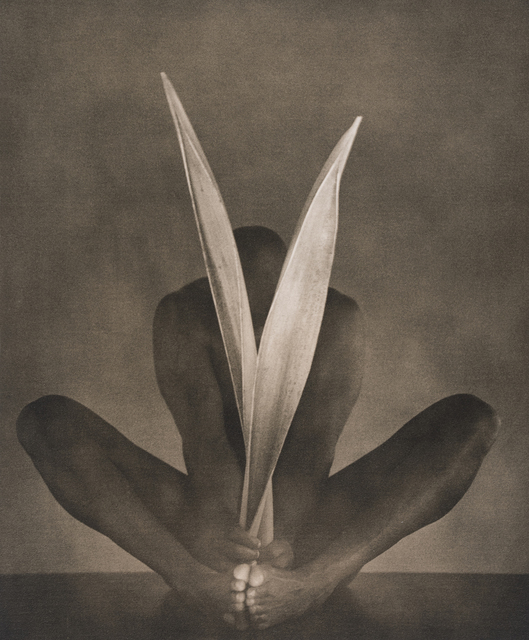 John Casado, ‘Untitled 11295’, 2001, Photography, Lith silver gelatin print, Andra Norris Gallery