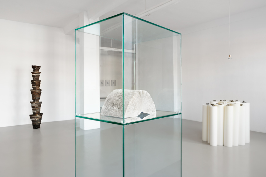 Anetta Mona Chisa & Lucia Tkacova, exhibition views "ah, soul in a coma, act naive, attack", GAK Gesellschaft für Aktuelle Kunst, 2015, courtesy Anetta Mona Chisa & Lucia Tkacova, Photographer: Tobias Hübel Anetta Mona Chisa & Lucia Tkacova, exhibition views "ah, soul in a coma, act naive, attack", GAK Gesellschaft für Aktuelle Kunst, 2015, courtesy Anetta Mona Chisa & Lucia Tkacova, Photographer: Tobias Hübel