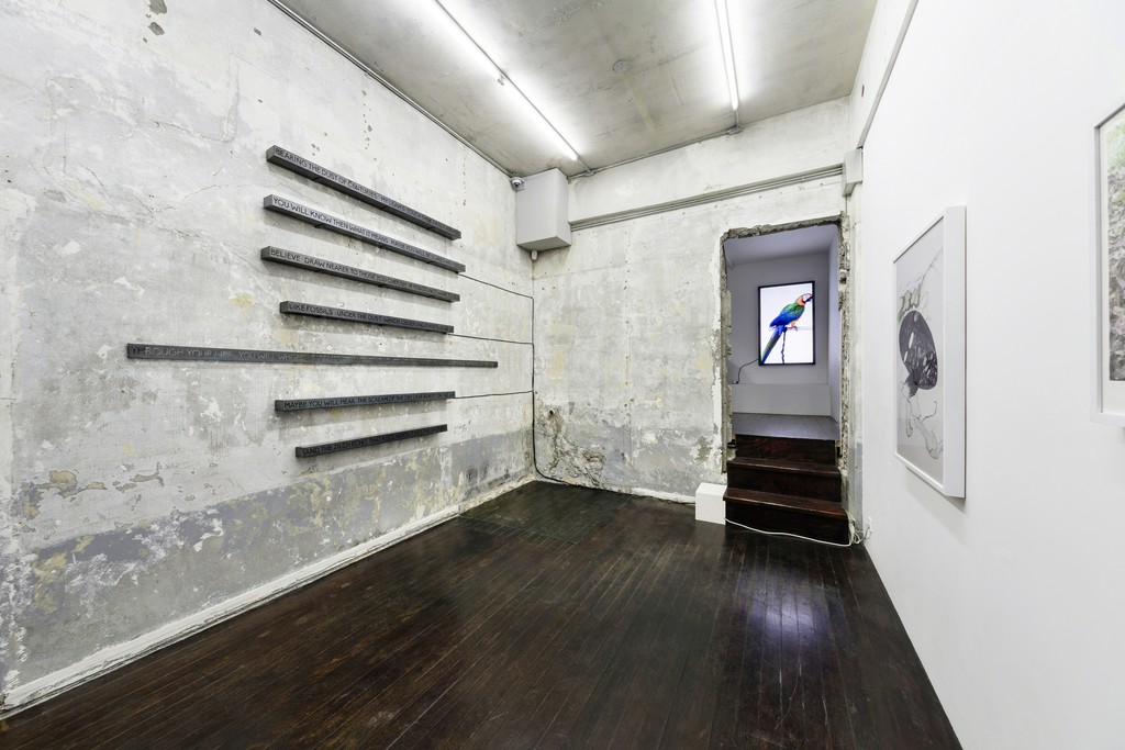 Installation view: Fahrettin Örenli, Nature of Me, P21 (28 February–31 March 2018). Courtesy P21. Installation view: Fahrettin Örenli, Nature of Me, P21 (28 February–31 March 2018). Courtesy P21.