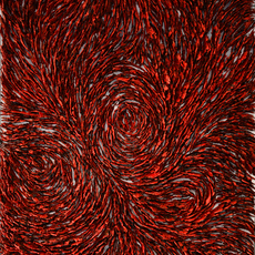 Khadija Jayi