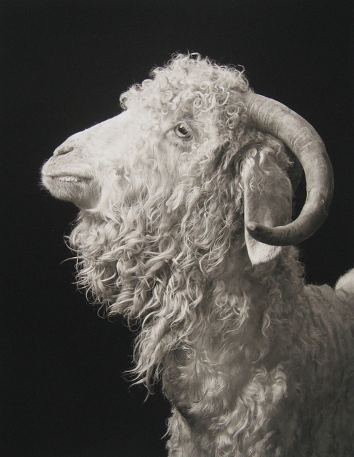 Kevin Horan, ‘Sherlock #2’, 2012, Photography, Archival pigment, PDNB Gallery