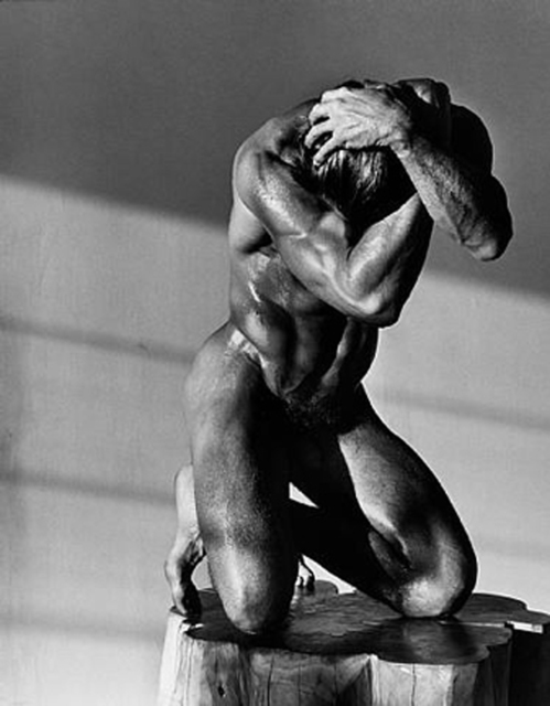 Herb Ritts Male Nude On Log Los Angeles 1986 Available For Images, Photos, Reviews