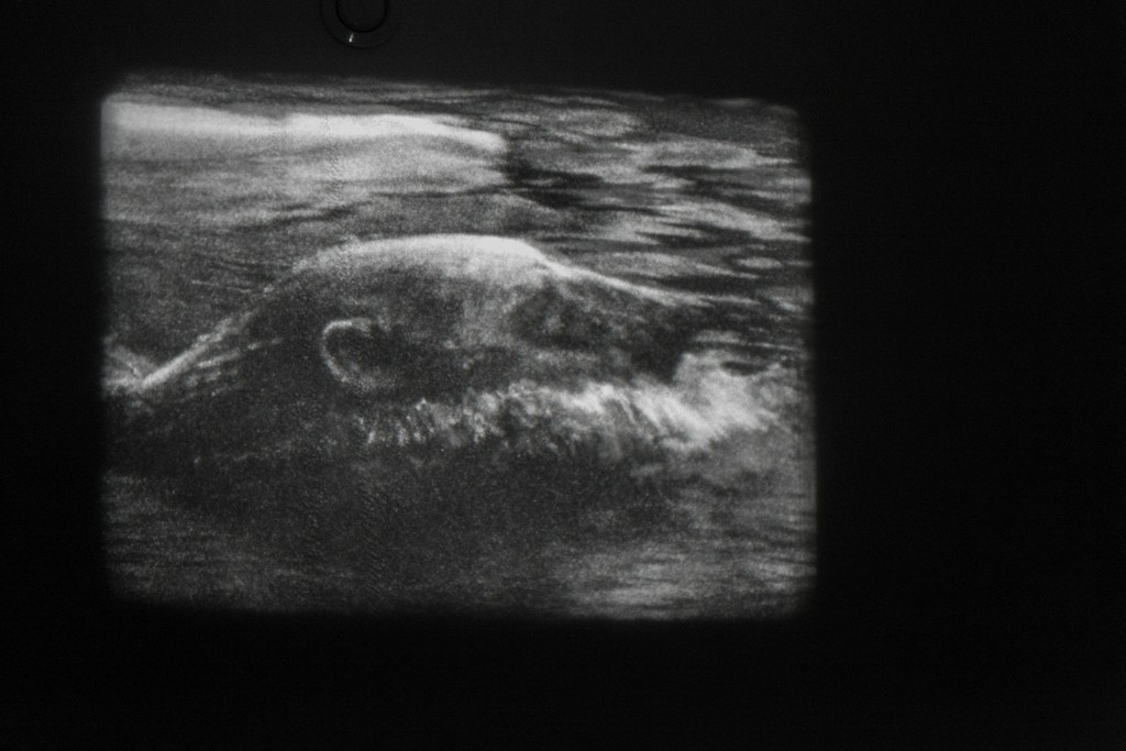 Film Live, Super-8 cinema, filmstills | image ©dasesszimmer Film Live, Super-8 cinema, filmstills | image ©dasesszimmer