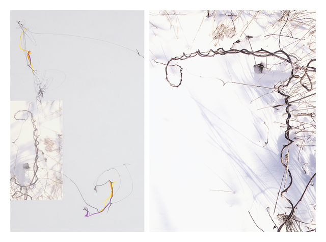 Sandi Haber Fifield, ‘Untitled (LF 17 #176)’, 2016, Tracey Morgan Gallery