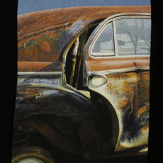 Carol Shinn
