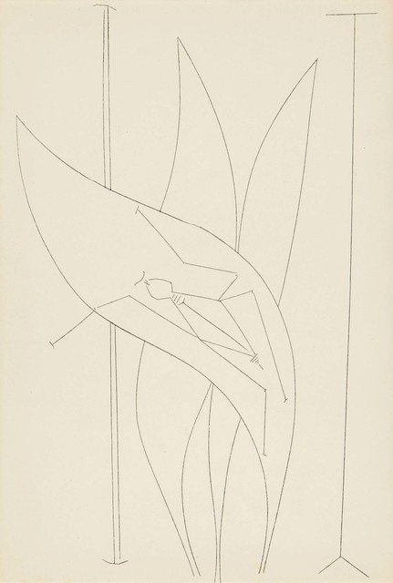 Pablo Picasso, ‘Feuille et insecte from CORPS PERDU’, 1950, Wada Garou Tokyo