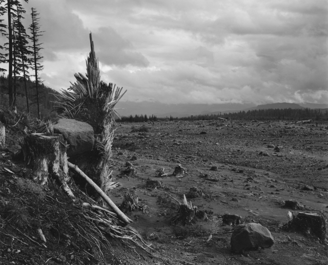 Frank Gohlke | Looking southeast across lahar (mudflow). Six miles ...