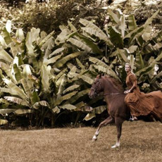 Giovanni Gastel, Cinema Cinema (2015)