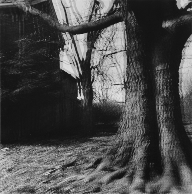 Ralph Eugene Meatyard, ‘Untitled (“Motion-Sound” Landscape)’, 1969/1974, ClampArt