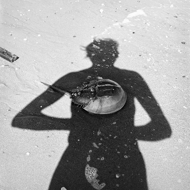 Vivian Maier, ‘0120561, Self Portrait - Horse Shoe Crab’, 2015, KP Projects