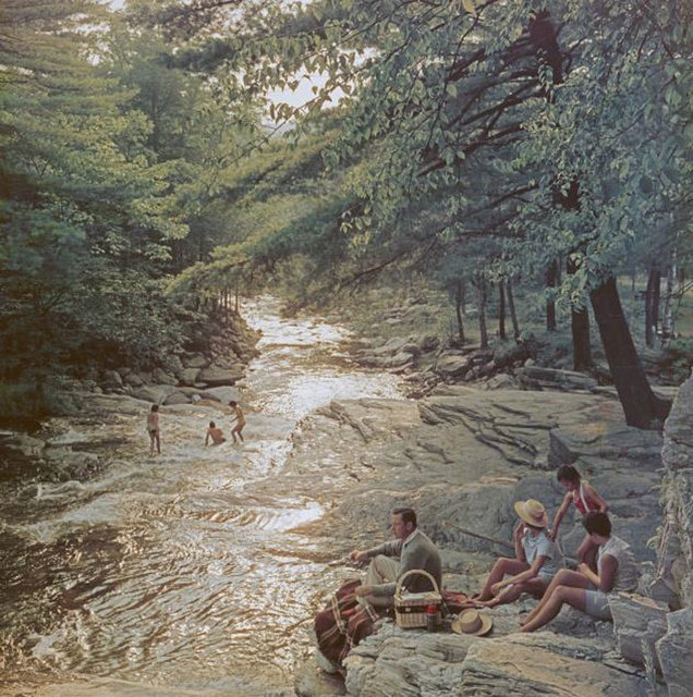 Slim Aarons, ‘Campbell Falls Picnic ’, 1959, IFAC Arts
