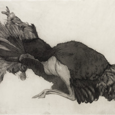 Hugo Wilson