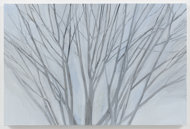 Sylvia Plimack Mangold, ‘Winter Maple 2016’, 2016, Painting, Oil on linen, Alexander and Bonin