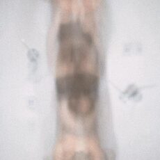 Jeh Lee