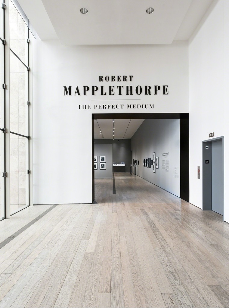 Installation photograph of "Robert Mapplethorpe: The Perfect Medium" March 20, 2016–July 31, 2016. Photo: © 2016 Museum Associates/LACMA. Artwork © Robert Mapplethorpe Foundation Installation photograph of "Robert Mapplethorpe: The Perfect Medium" March 20, 2016–July 31, 2016. Photo: © 2016 Museum Associates/LACMA. Artwork © Robert Mapplethorpe Foundation