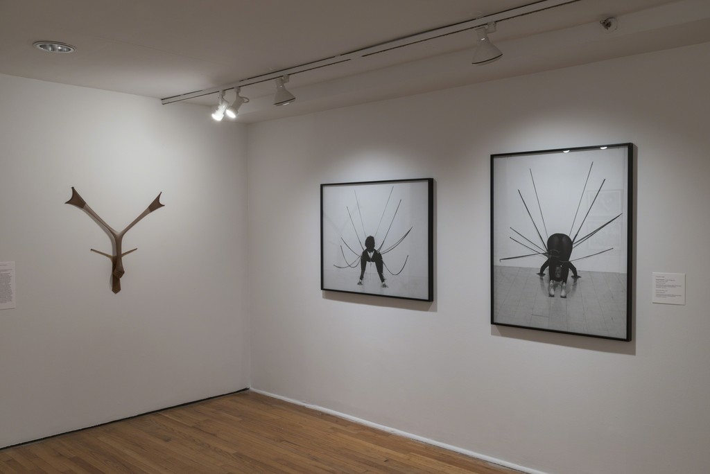 Circa 1970 (installation view). The Studio Museum in Harlem, November 17, 2016–March 5, 2017; Photo: Adam Reich Circa 1970 (installation view). The Studio Museum in Harlem, November 17, 2016–March 5, 2017; Photo: Adam Reich