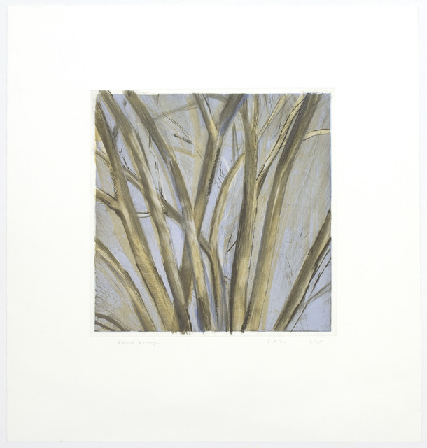 Sylvia Plimack Mangold, ‘Winter Elm’, 1995, Betsy Senior Fine Art