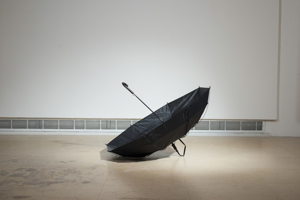 Ariel Schlesinger, Untitled (Inside Out Umbrella), Hiding Wood in Trees, 2014, CCA. Photo by Youval Hai. Ariel Schlesinger, Untitled (Inside Out Umbrella), Hiding Wood in Trees, 2014, CCA. Photo by Youval Hai.