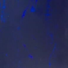 Adam Ross