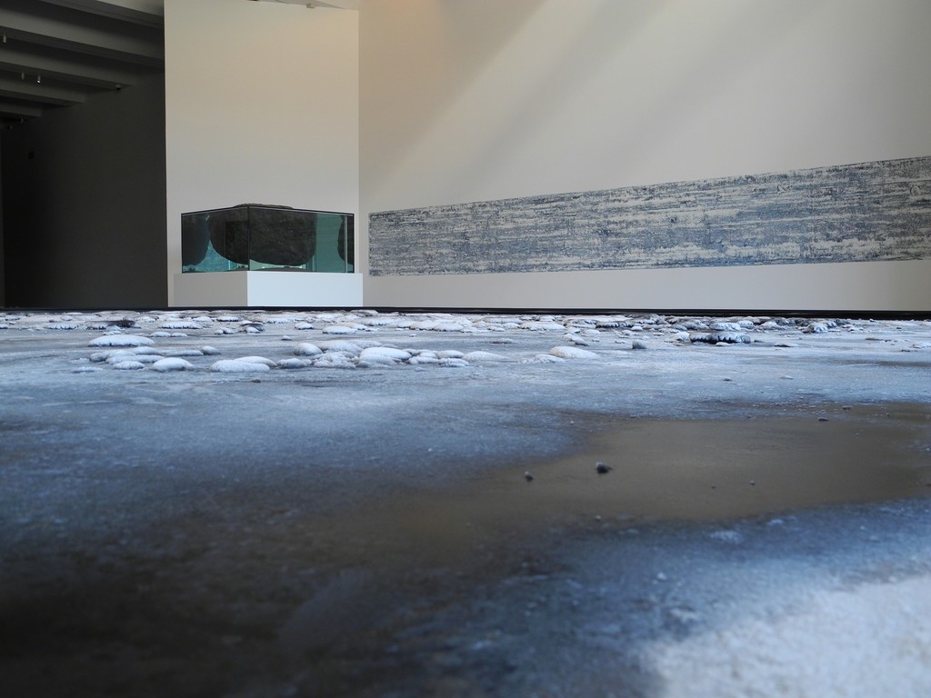 Pierre Huyghe at LACMA, 2015, Photo by Leonor Rey Pierre Huyghe at LACMA, 2015, Photo by Leonor Rey