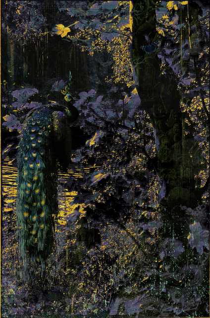 Aki Lumi, ‘The Garden No. 14’, 2013, JHB Gallery