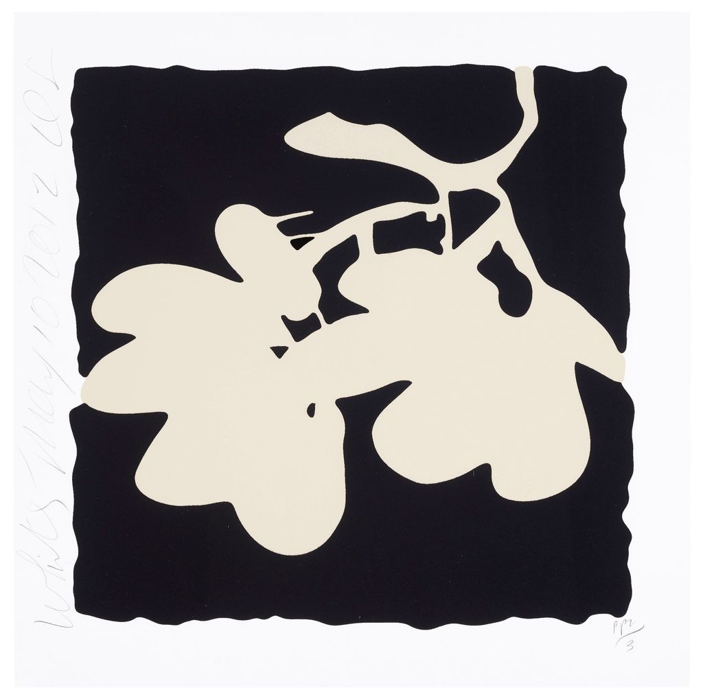 Donald Sultan - White, May 10, 2012, from Lantern Flowers