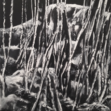 Peter Heywood