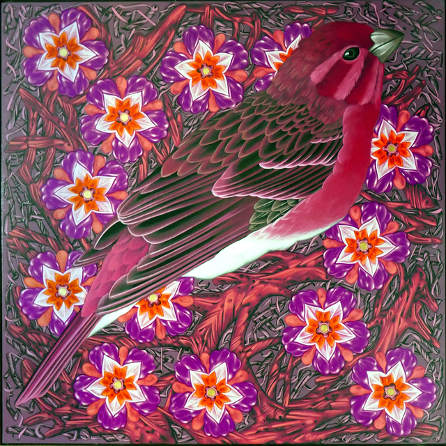 Kevin Veara, ‘Exult #48 Purple Finch’, 2019, Springfield Art Association