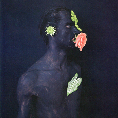 Dietmar Busse