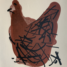 Tom White (New Zealand)