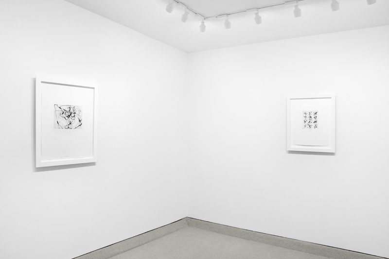 Installation view from BRICE MARDEN: Prints from 1972 to 1998 Installation view from BRICE MARDEN: Prints from 1972 to 1998