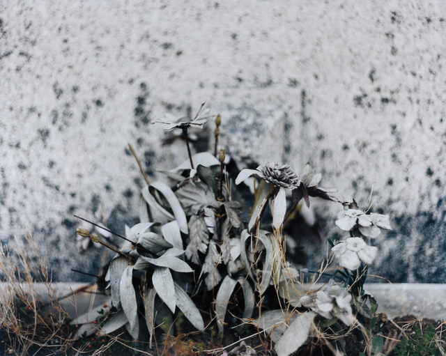 Eileen Quinlan, ‘After Winter’, 2004-2010, Print, Chromogenic print mounted on Plexiglas, Phillips