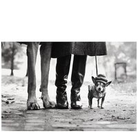 'New York City' (Felix, Gladys, and Rover)