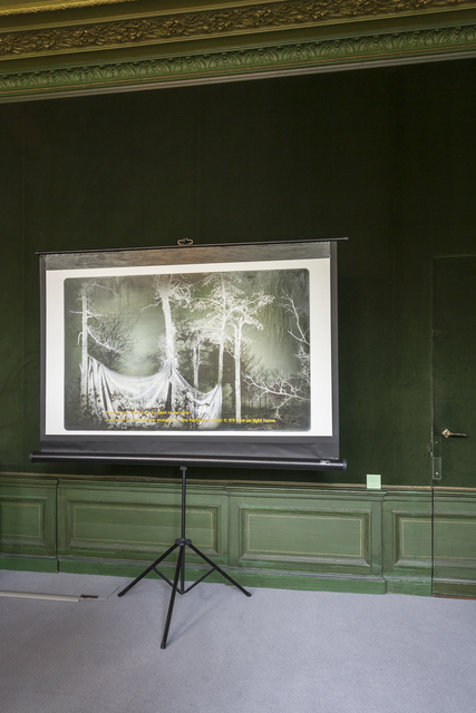 Anthony Goicolea, ‘Portrait of a Video Still’, 2014, International Manifesta Foundation