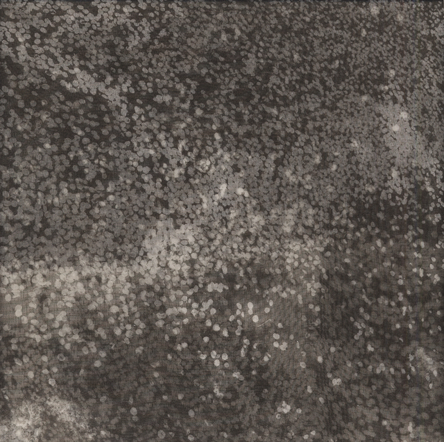 Chaco Terada, ‘Star Dust IV’, 2014, photo-eye Gallery