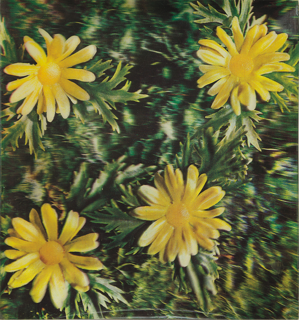 Andy Warhol, ‘Rain and Flowers (Detail of construction)’, 1970, Print, Lenticular print in colors, laid to heavy wove paper (as issued), the full sheet., Phillips