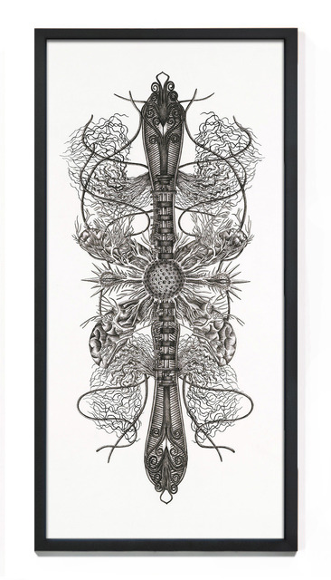 Angela Su, ‘Chimeric Antibodies 5’, 2011, Blindspot Gallery
